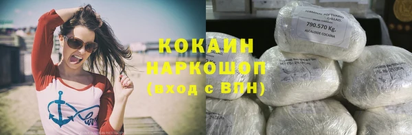 дживик Каменногорск