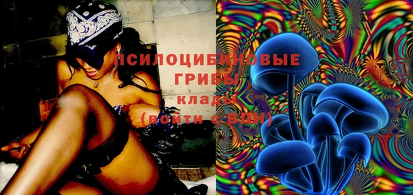 jwh Каменка