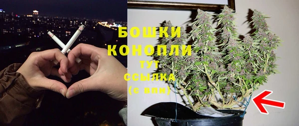 дживик Каменногорск
