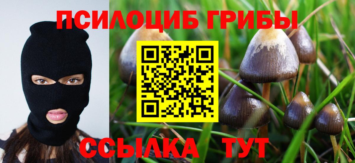 Галлюциногенные грибы ЛСД Урус-Мартан